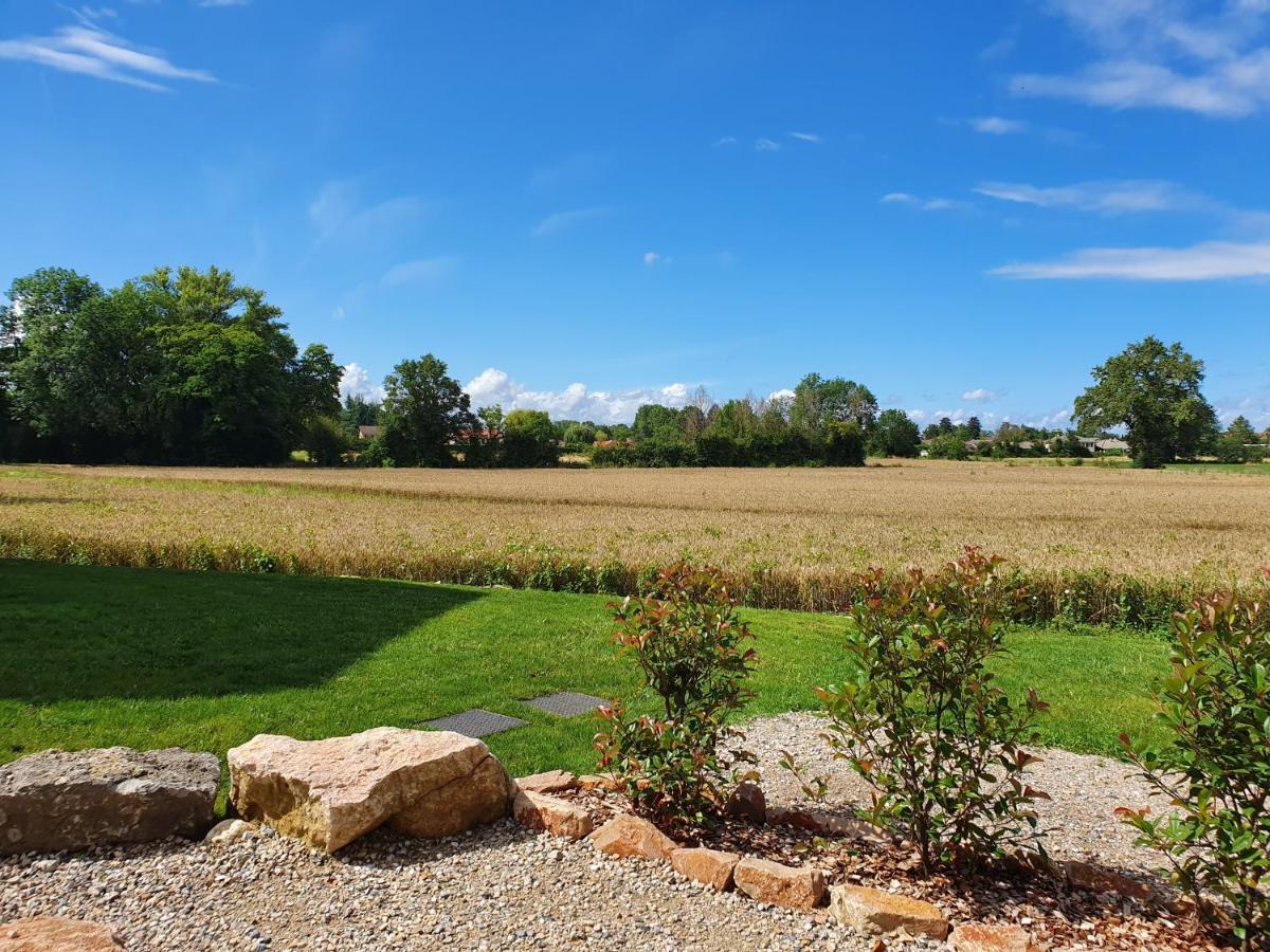 Gite La Buissonniere Villemoirieu Exterior foto